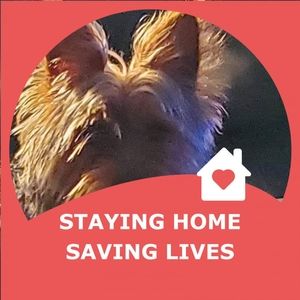 Meet your Posher, Leslie